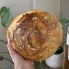 sourdoughswiftie