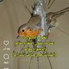 nouralsamaa5