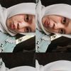 jelita_zr