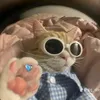 ngtramtinhnhatthegioi