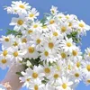 🌹ډرعـ,ـآ🦋ۅيـ,ـة🌹