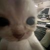 craxker_ssj31