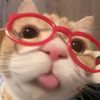 notificationalertstream