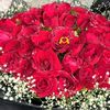 roshani0180