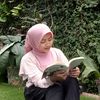 dy_nrstn