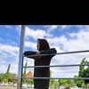 nur_8418