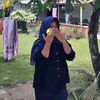 araww392