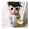 michi_1165