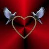 ko.aung.1144