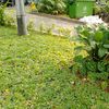 asolalo_567