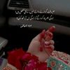 bunny1075871568474