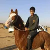 user5303876751811