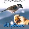 user8087814779405