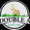 doublearabbit1
