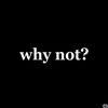 YesWhyNot