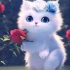 nay.chi7267