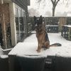 danielvanommeren0