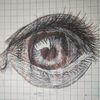 anel09797
