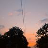 wong_2791