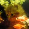 farah_1212_10