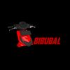 _owner_nya_bibubal_