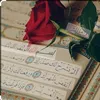 user4730461267248