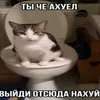 erentmeow