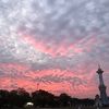 bimaa_2222