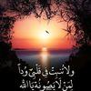 user7319261174102