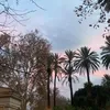 _sofiuccia