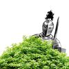 shrub.knight