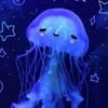 jellyfishy0206