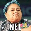 _nel_3.1416