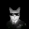 nicholas.vincent2