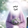 user981156657288