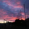 breta__973