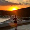 sofijaa_971