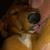 fabricio.bautista0