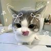 aliyah_softspoken