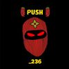 push_236