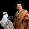 ابن القدافي 💚
