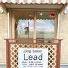 Dog salon Lead マツモトヒロキ