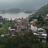 kunthytreehandaya