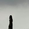 blossombreeze_23