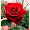 mayaboti555ghh