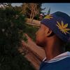 lakerpeace4