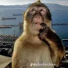 _khinaohetbuonthidoiten