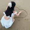 aduemphuong4