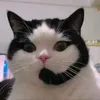 jhade_085