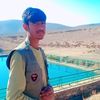 zaharalokozai002